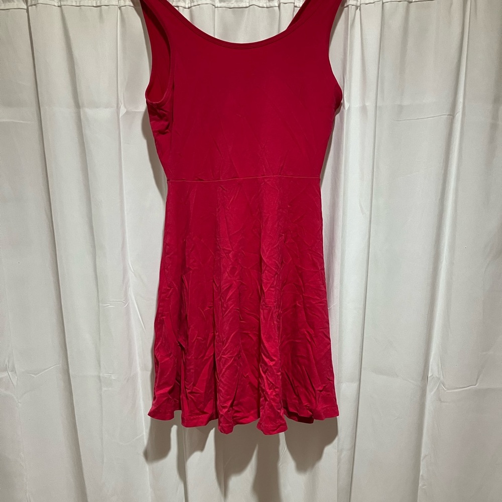 Express Pink Dress